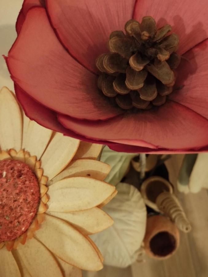 A Casa Di Esther Boloňa Exteriér fotografie